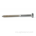 Hexagon Head Wood Screws DIN571